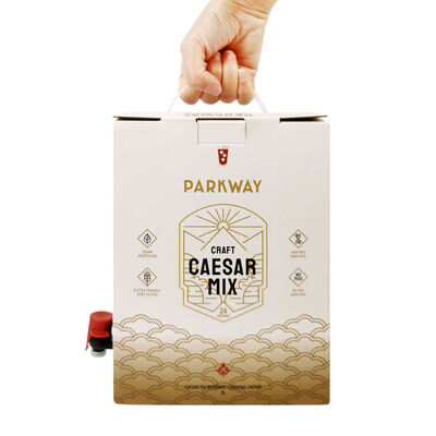 Handle Bag In Box Customized Printing Tap Accessories Versatile Packaging Solution for Industrial and Commercial Liquids