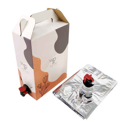 1L/2L/3L Custom Coffee Box Disposable Coffee Bag in Box with Valve Dispenser