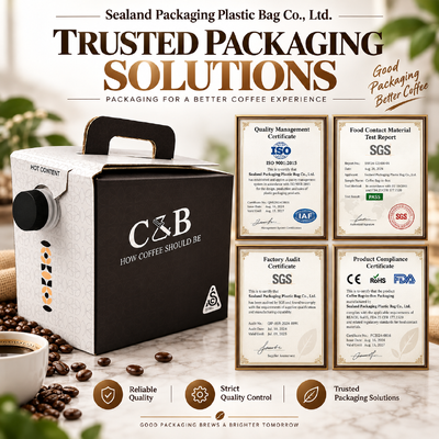 Bag in Box Without Handle Suitable for Safe Storage and Transport of Various Liquids in Industrial Applications