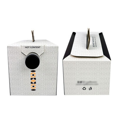 Customized BIB bags in Box made from eco friendly materials ensuring safe packaging and extended shelf life for liquids