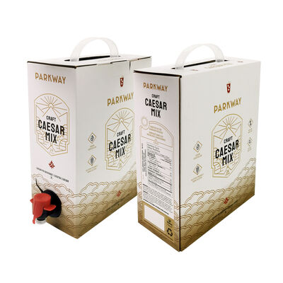 Handle Bag In Box Customized Printing Tap Accessories Versatile Packaging Solution for Industrial and Commercial Liquids