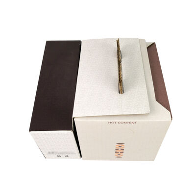 Customized Bag In Box Packaging Solutions Plastic Durable Leak Resistant Container for Liquid Storage and Transport